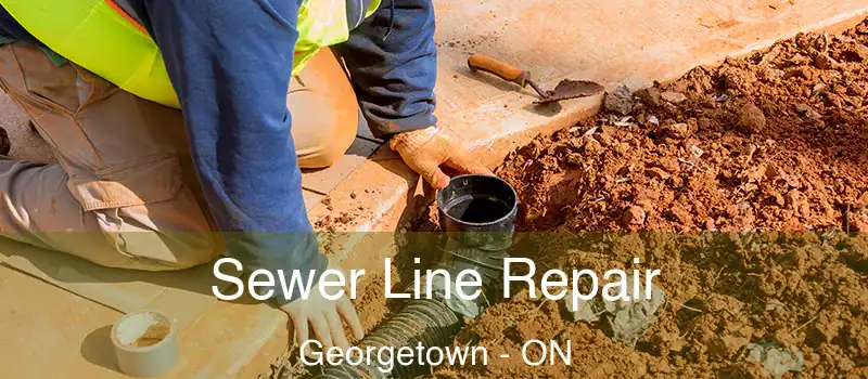  Sewer Line Repair Georgetown - ON