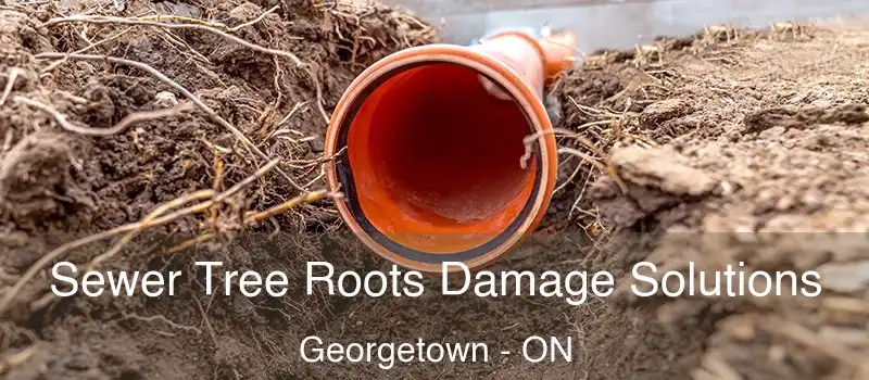  Sewer Tree Roots Damage Solutions Georgetown - ON