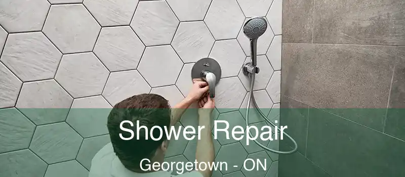  Shower Repair Georgetown - ON