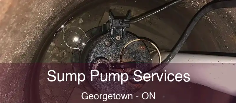  Sump Pump Services Georgetown - ON