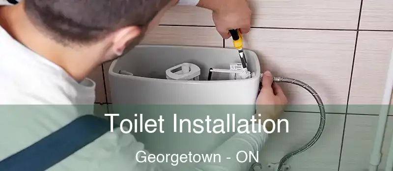  Toilet Installation Georgetown - ON
