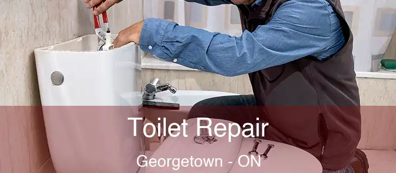  Toilet Repair Georgetown - ON