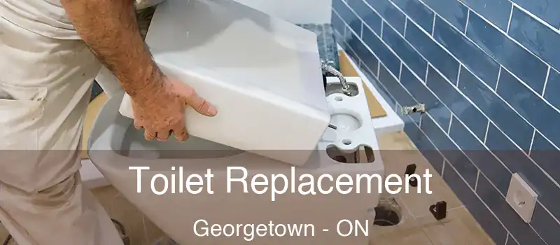  Toilet Replacement Georgetown - ON