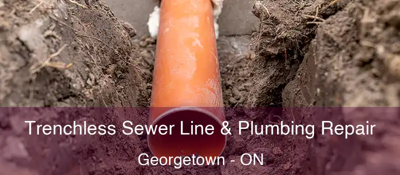  Trenchless Sewer Line & Plumbing Repair Georgetown - ON