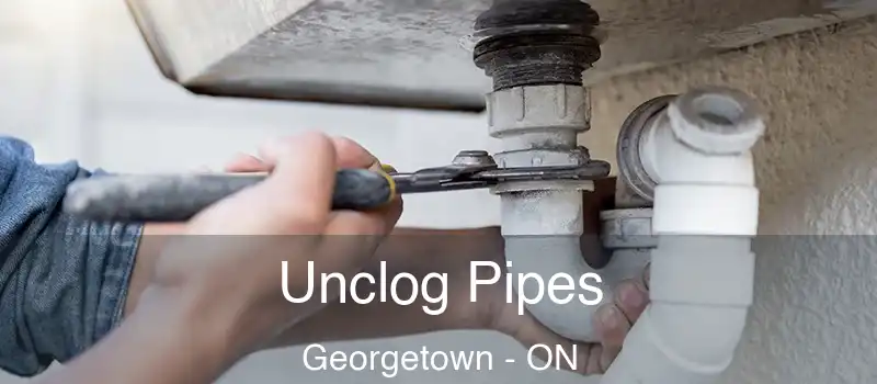  Unclog Pipes Georgetown - ON