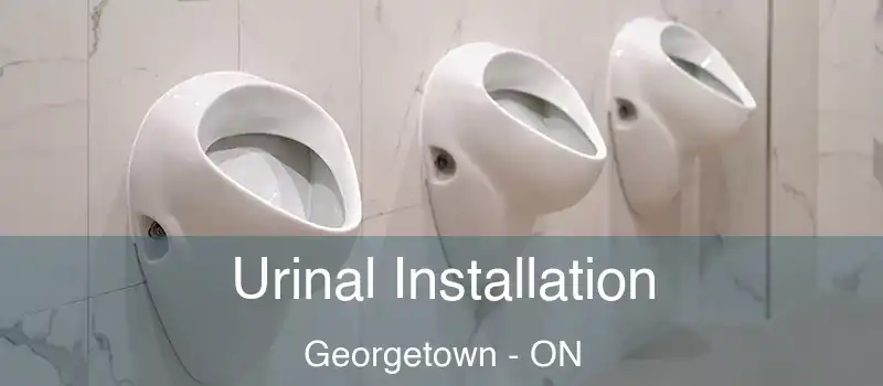  Urinal Installation Georgetown - ON