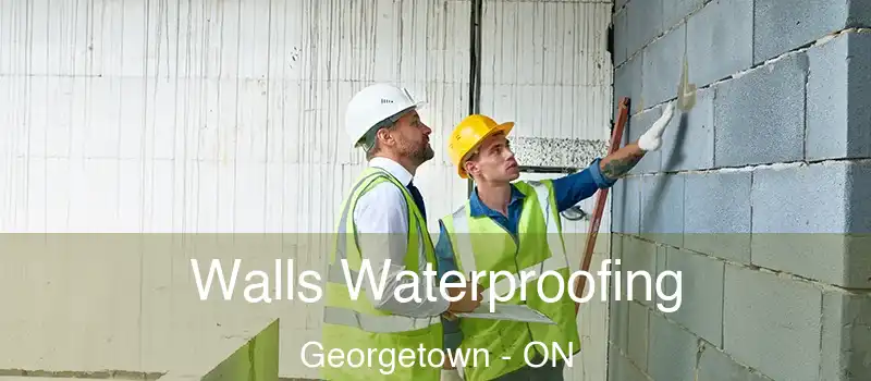  Walls Waterproofing Georgetown - ON