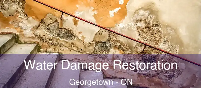  Water Damage Restoration Georgetown - ON