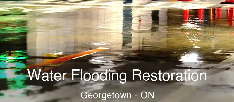  Water Flooding Restoration Georgetown - ON