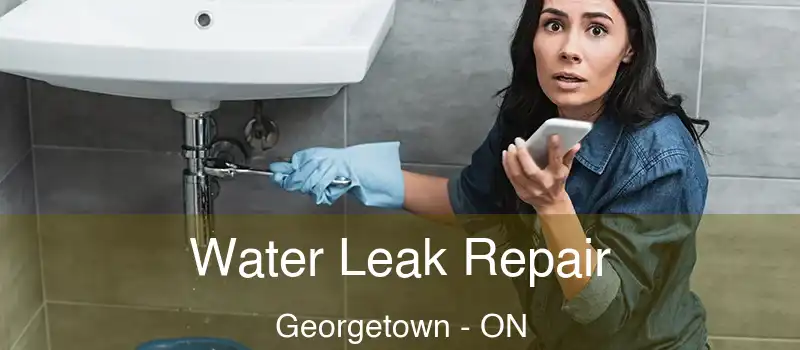  Water Leak Repair Georgetown - ON