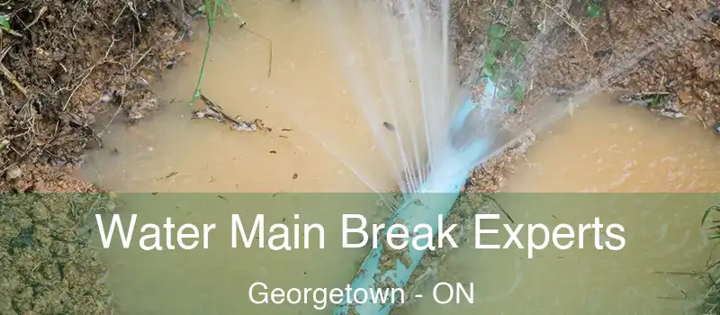  Water Main Break Experts Georgetown - ON