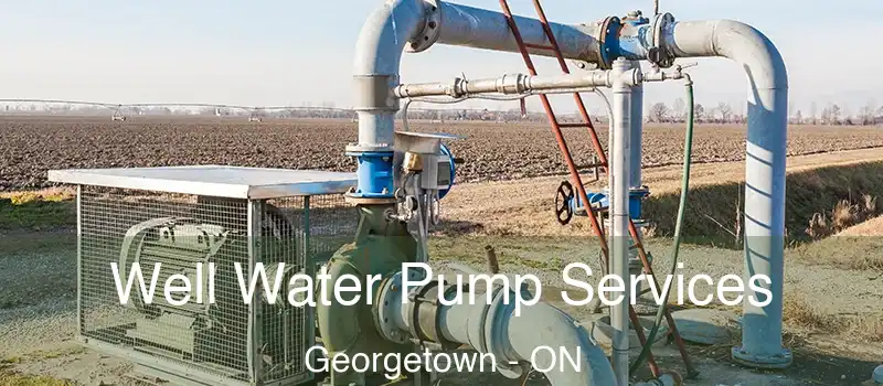  Well Water Pump Services Georgetown - ON